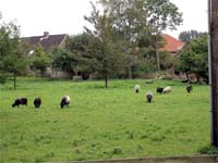 Fahren Farm